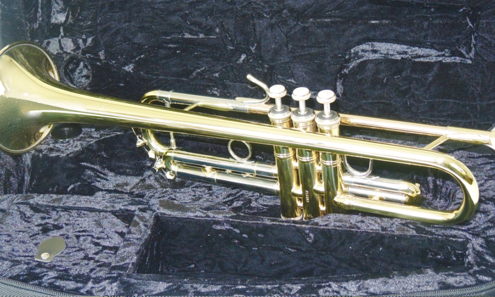 Bb-Trompete Bach Series 1 VBS1 - Brasserie Hamburg Blasintrumente UG