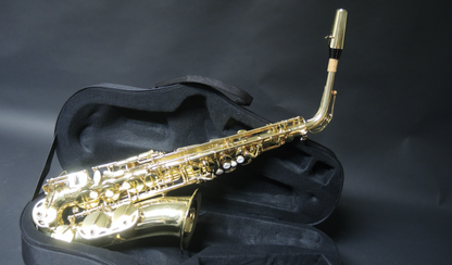 Altsaxophon MTP Mod. A100 Economy - Brasserie Hamburg Blasintrumente UG 