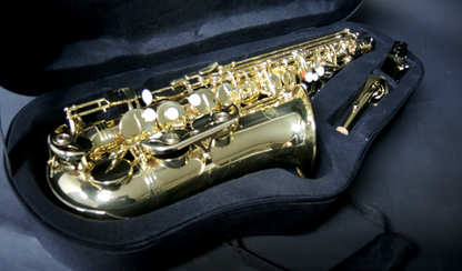Altsaxophon MTP Mod. A100 Economy - Brasserie Hamburg Blasintrumente UG 