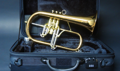 Bb-Flügelhorn Carol Brass - Brasserie Hamburg Blasintrumente UG 