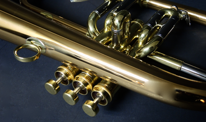 Bb-Flügelhorn Carol Brass - Brasserie Hamburg Blasintrumente UG 