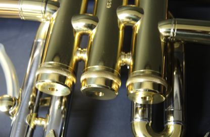 Bb-Flügelhorn Carol Brass - Brasserie Hamburg Blasintrumente UG 