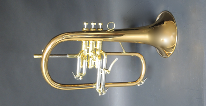 Bb-Flügelhorn Carol Brass - Brasserie Hamburg Blasintrumente UG 