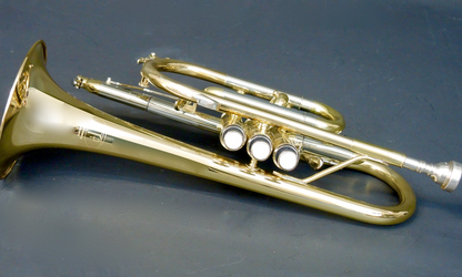 Bb-Kornett MTP Mod. 900 - Brasserie Hamburg Blasintrumente UG 