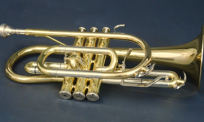 Bb-Kornett MTP Mod. 900 - Brasserie Hamburg Blasintrumente UG 