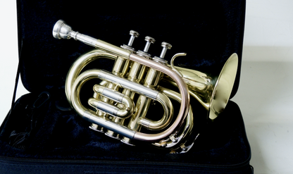 Bb-Taschentrompete MTP T-205 PT - Brasserie Hamburg Blasintrumente UG 