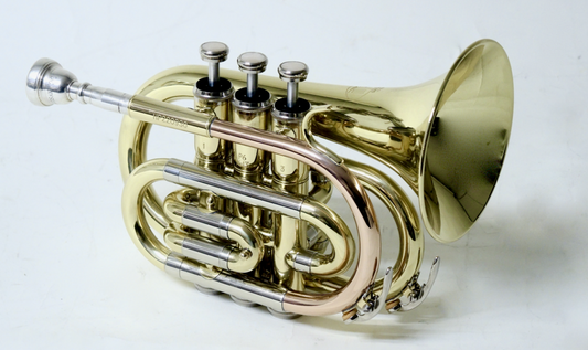 Bb-Taschentrompete MTP T-205 PT - Brasserie Hamburg Blasintrumente UG 