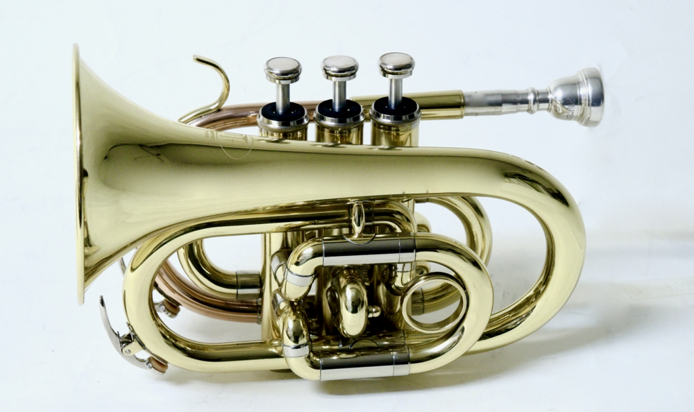 Bb-Taschentrompete MTP T-205 PT - Brasserie Hamburg Blasintrumente UG 