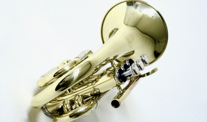 Bb-Taschentrompete MTP T-205 PT - Brasserie Hamburg Blasintrumente UG 