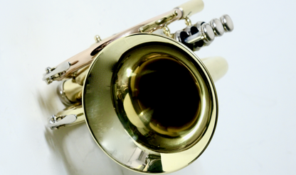 Bb-Taschentrompete MTP T-205 PT - Brasserie Hamburg Blasintrumente UG 