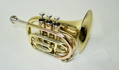 Bb Taschentrompete MTP T-210 HSX - Brasserie Hamburg Blasintrumente UG 