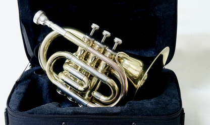 Bb Taschentrompete MTP T-210 HSX - Brasserie Hamburg Blasintrumente UG 