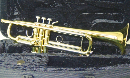 Bb-Trompete Bach Series 1 VBS1 - Brasserie Hamburg Blasintrumente UG 