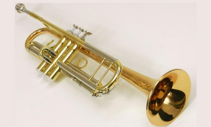 Bb-Trompete Jupiter JTR1110RQ - Brasserie Hamburg Blasintrumente UG 