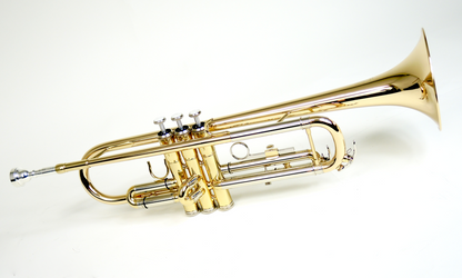 Bb Trompete MTP T-200G - Brasserie Hamburg Blasintrumente UG 