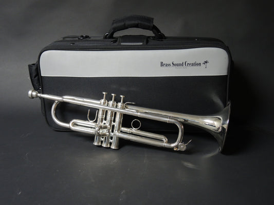 Bb-Trompete BSC-TR2 "Big Horn" versilbert