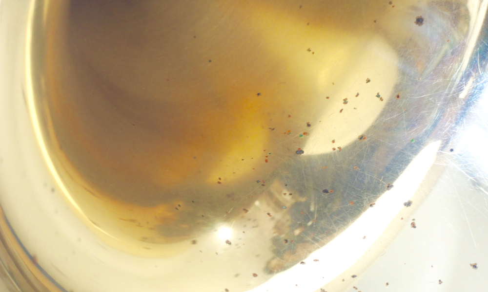 F-Horn Hans Hoyer mod. 700 - Brasserie Hamburg Blasintrumente UG 