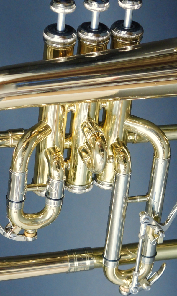 Flügelhorn MTP Mod. F-835 XL 'Custom' - Brasserie Hamburg Blasintrumente UG 