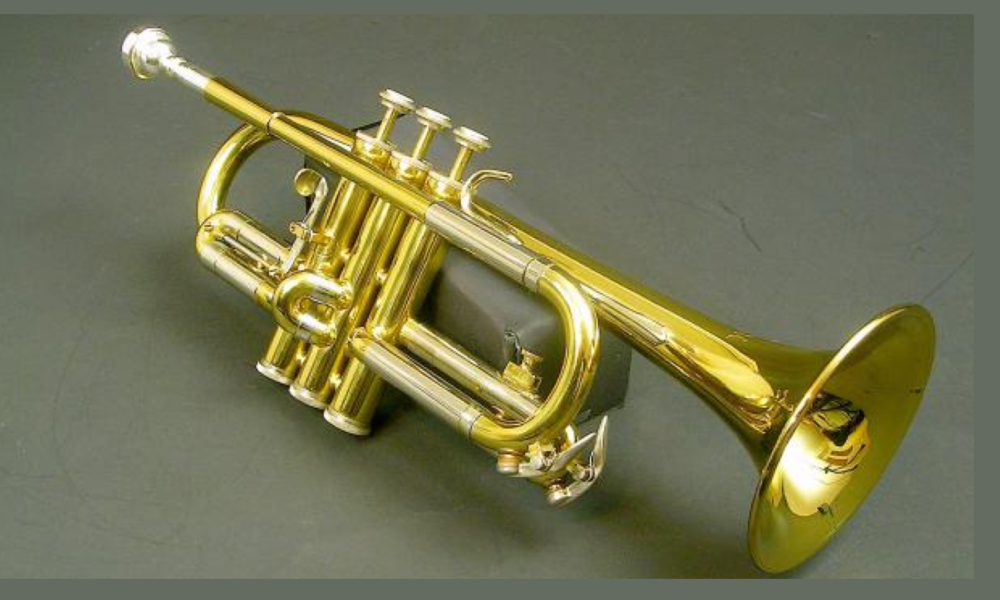 D-trompete York - Brasserie Hamburg Blasintrumente UG 