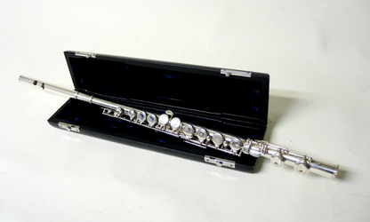 Querflöte Trevor James TJ 10X - Brasserie Hamburg Blasintrumente UG 