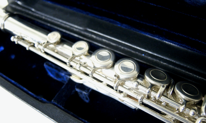 Querflöte Trevor James TJ 10X - Brasserie Hamburg Blasintrumente UG 