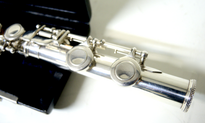 Querflöte Trevor James TJ 10X - Brasserie Hamburg Blasintrumente UG 