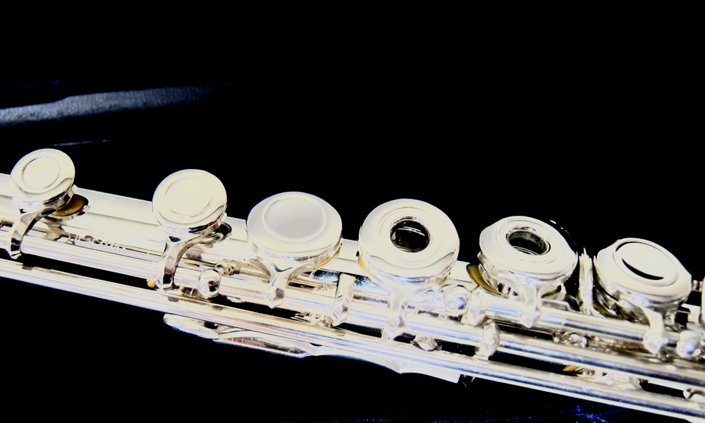 Querflöte Viento 208R mit Ringklappen - Brasserie Hamburg Blasintrumente UG 